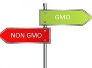 Wady i zalety GMO według przeciwników i zwolenników