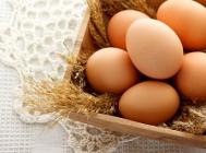 7 powodów dla których warto jeść jajka